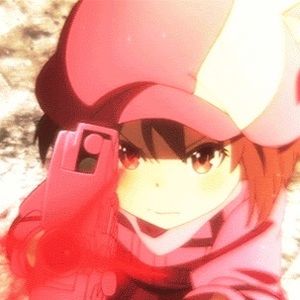 Meet your Posher, Winnie